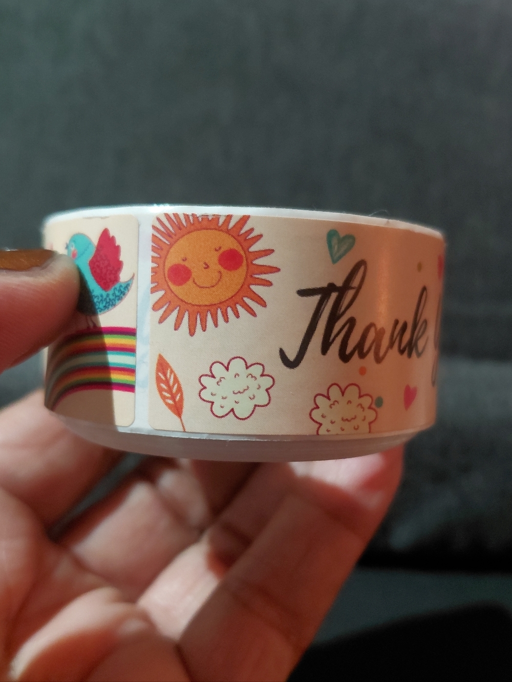 120ct. Thank You - Rainbow & Bird Bonus 3 Random Polymailers - Picture 6 of 6